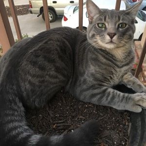 Meet your Posher, Kaylee